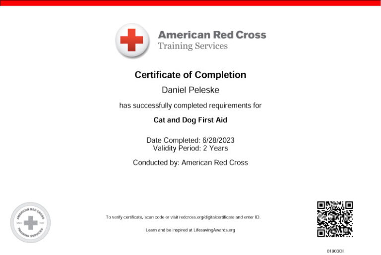 Red-Cross-Certificate-MERGE